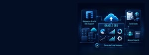 Oracle EBS Cost Optimization Strategies That Deliver Results